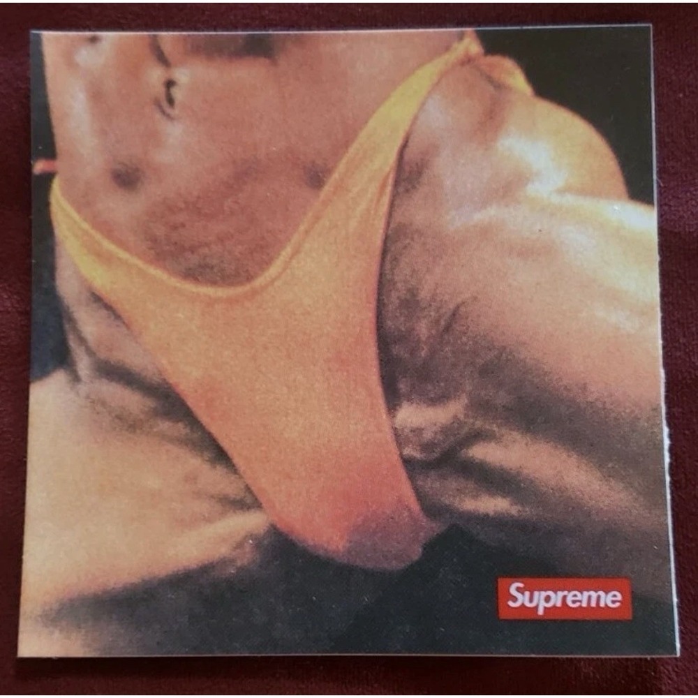 Supreme Butthole Surfers Pussyhorse Sticker 100% Authentic SS21